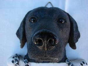 Labrador Head with Bone Wall Hanging